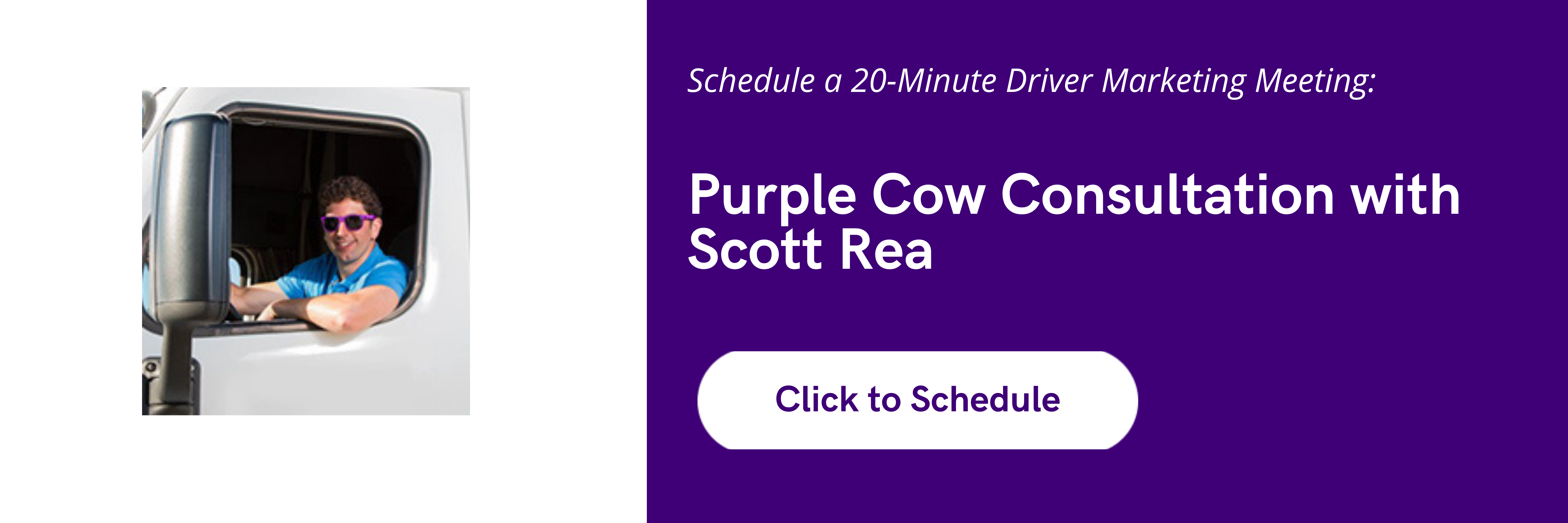 Purple Cow Consultation (1)