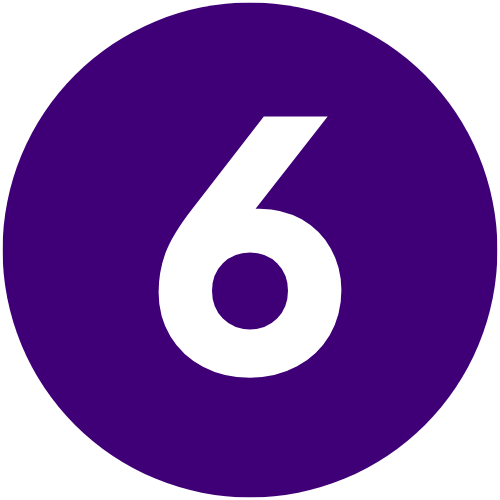 6 Icon