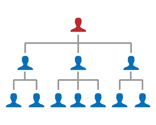 org chart