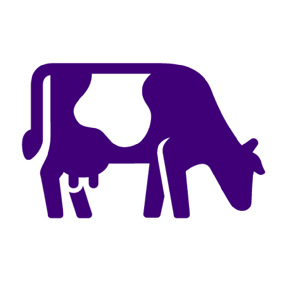 AF__PurpleCowOG-Icon